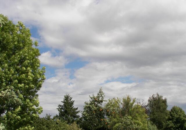 irgendwoher musste die Sonne scheinen können!