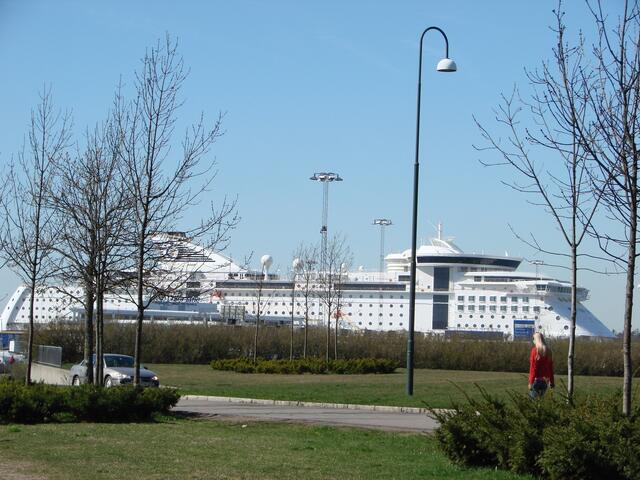 ..wieder da! Nein, nein..nicht auf der Wiese..