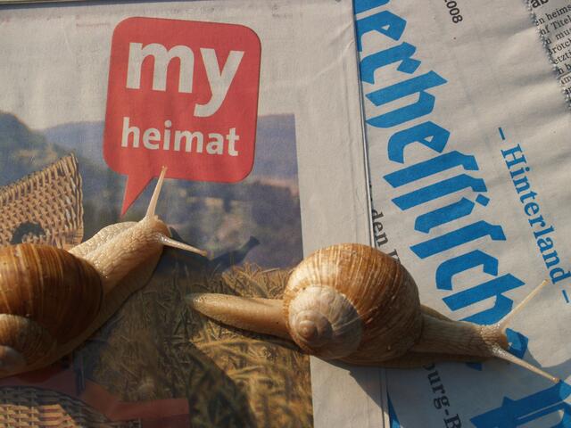 Ich schleiche schon mal zur Oberhessischen Presse!