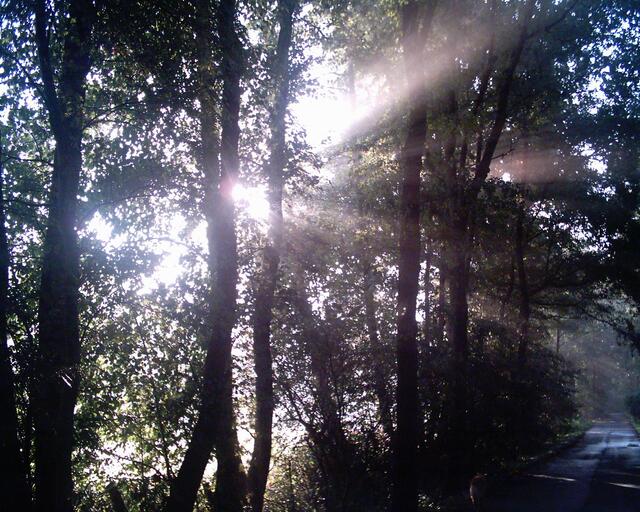 Licht und Schatten