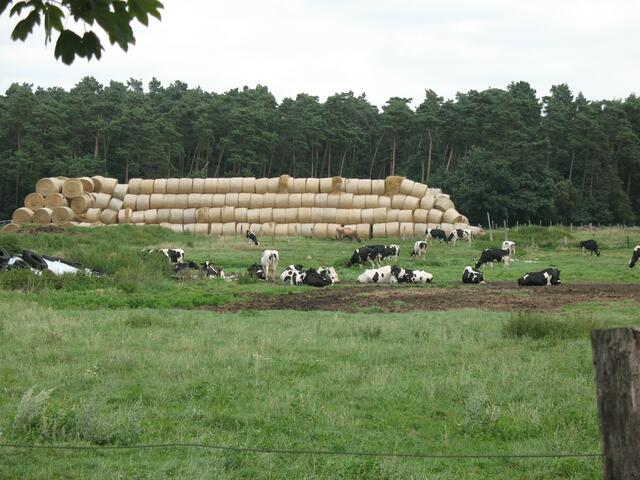 Land(wirt)schaftsimpressionen!