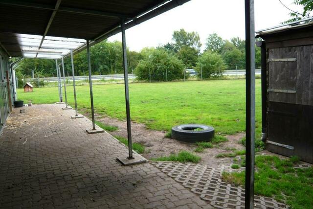 Großzügige Aussenanlage