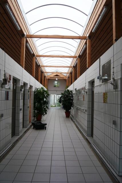 Hundehaus Nr. 5