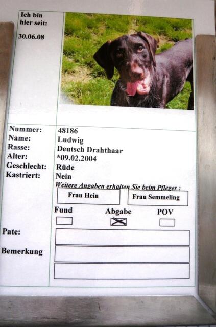 Beschreibung von Ludwig!