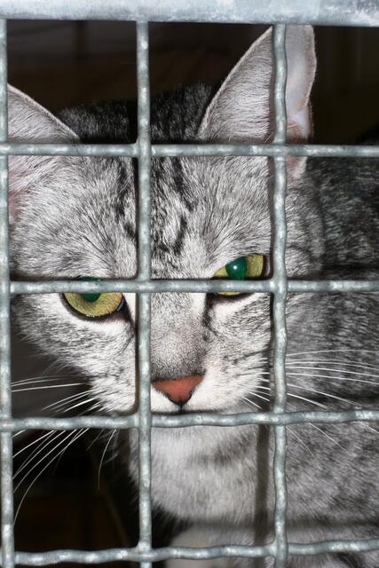 Sie hat mich genau im Blick...