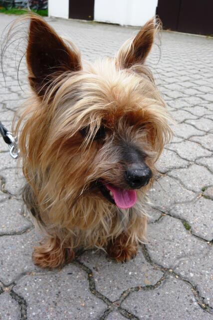 ... und ich Jesse!
