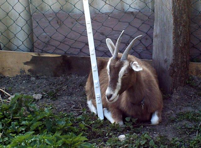 Manchmal mach ich auch Pause, um Kraft zu sammeln