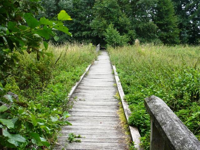 Der Weg ins Ungewisse