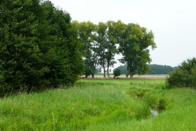Wir trauen dem Hinweis und entdecken Natur PUR