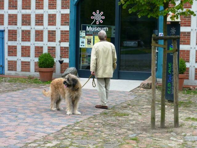 Hunde dürfen hier nicht rein