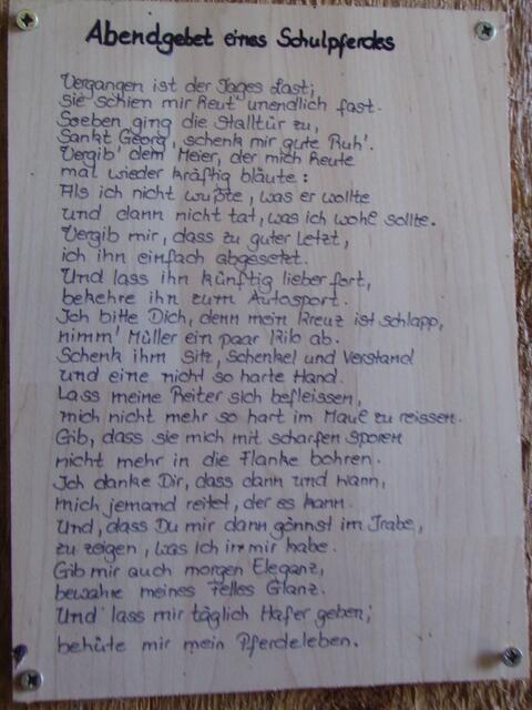 Abendgebet eines Schulpferdes.