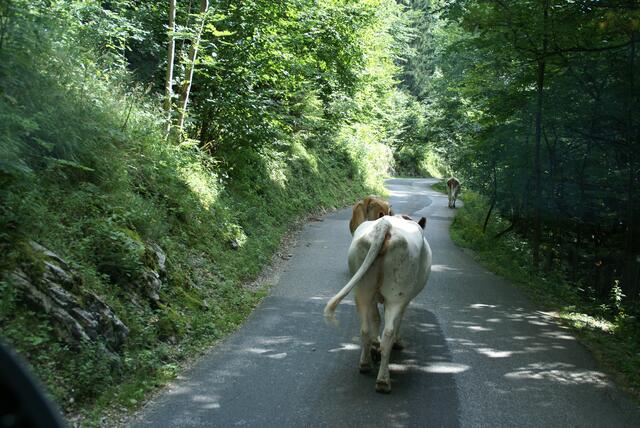Rückweg