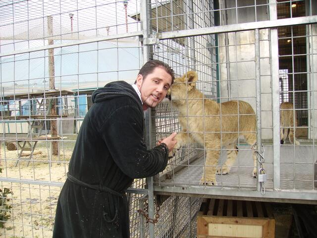 Martin Lacey jr. mit einem seiner Löwen