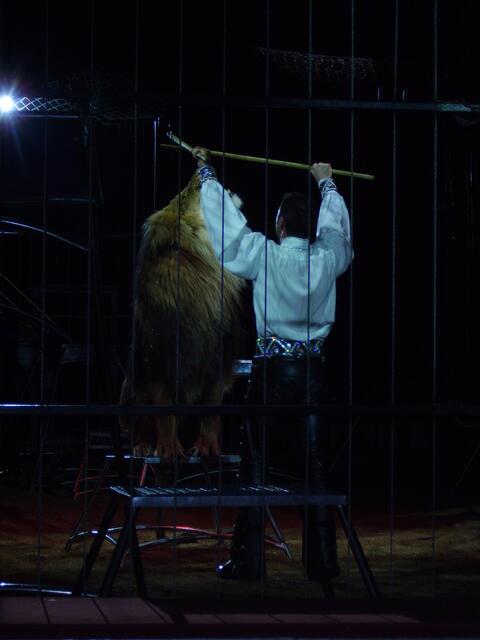 Martin Lacey jr. mit Kassanga