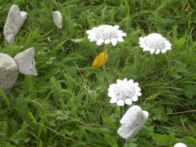 Steinblumen ....