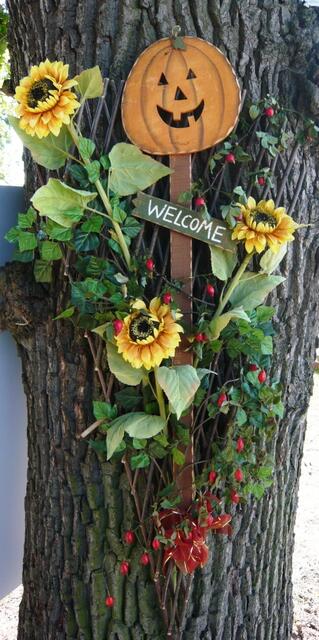 Welcome!