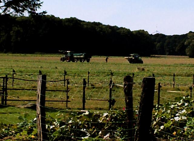 Landwirtschaft