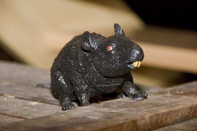 Auch ein Mitreisender