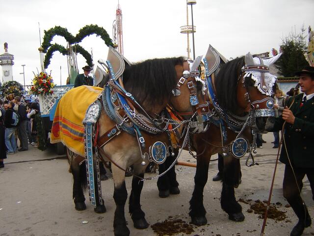 .. Brauereipferde des "Löwenbräu-Wagen"