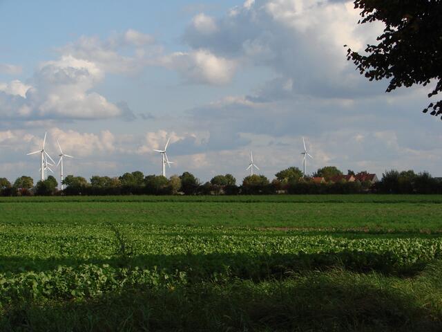 Zuckerrüben, Kartoffeln etc. und natürlich unsere Mühlen....