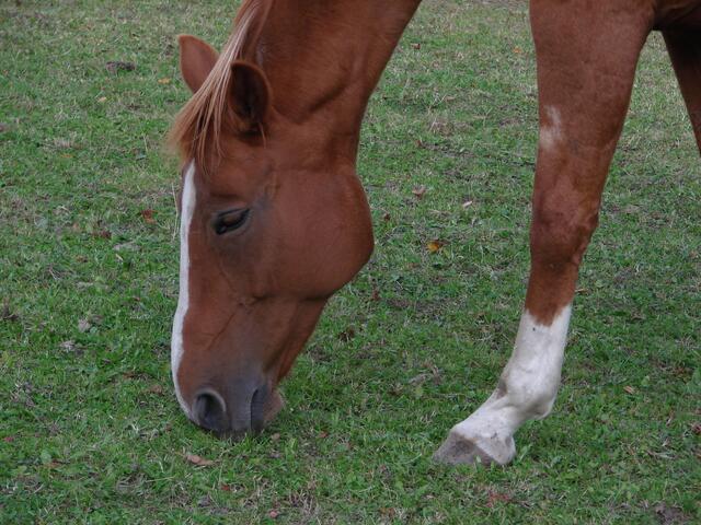 ich weiß, nu hattest die Nase voll vom modeln...