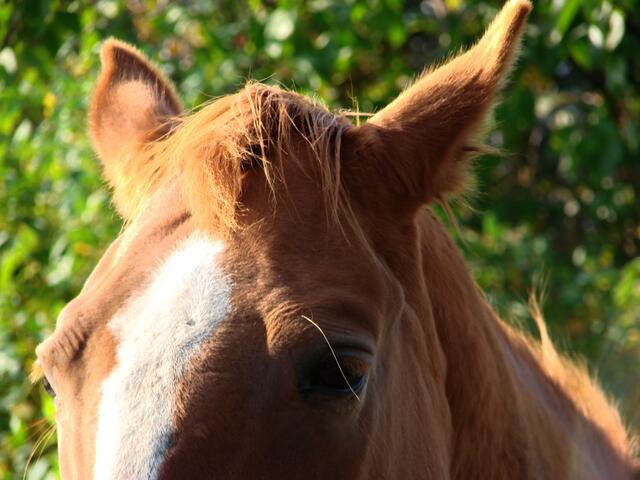 yep, Du wolltest mir Dein Gesicht nicht zeigen...dann nehm' ich halt die Hälfte....