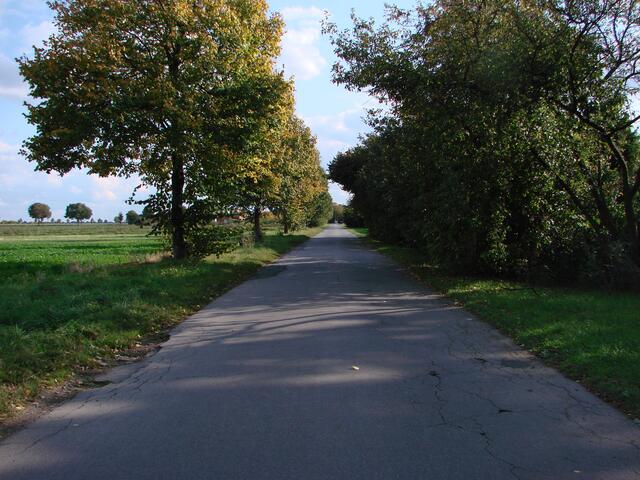 ...ein für die Insider sehr bekannter Feldweg, der ins Dorf führt..