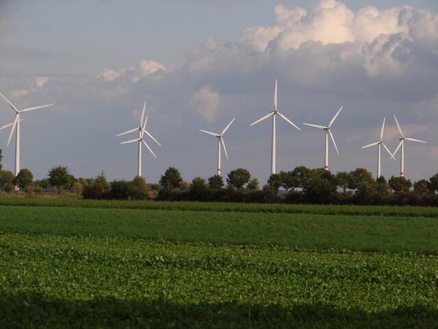 ..inzwischen sind es 23 an der Zahl...