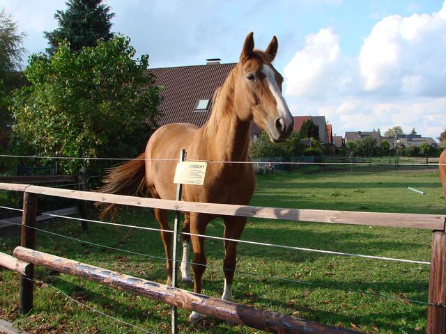 na bitte.....schick siehst aus!