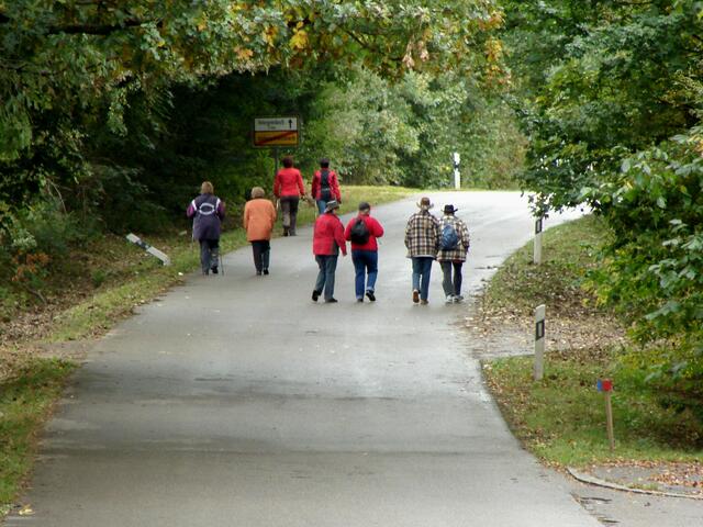 4 Hurlys machen sich auf den Weg