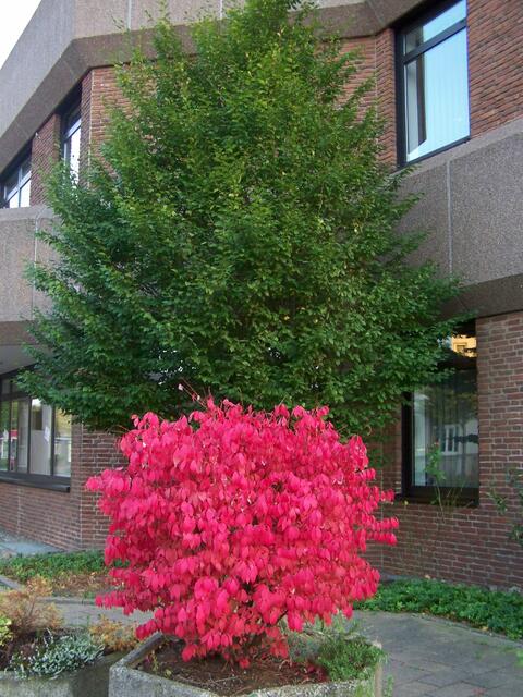 das war ein schöner Kontrast