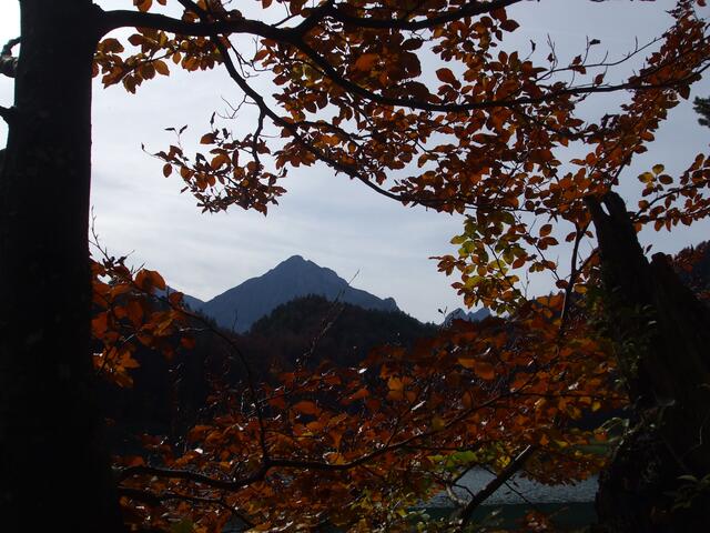 Blick Richtung Tannheimer Berge