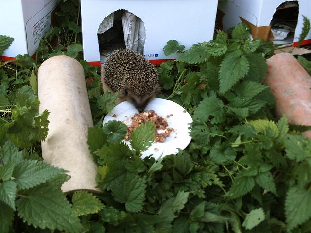 Das ist lecker!