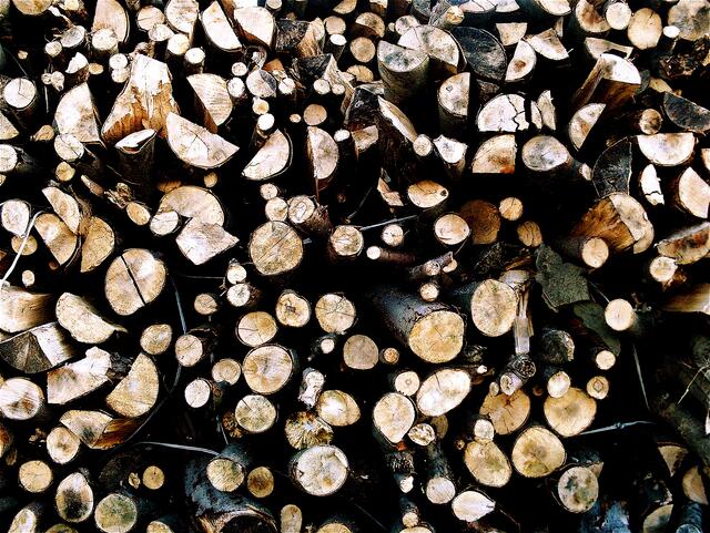 Holz aus dem Oerier Wald