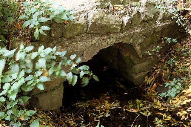 Brücke zwischen Mensch und Natur