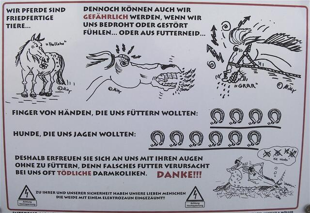 Der Weg führt an der Weide vorbei in den Wald, also seid lieb zu den Pferden, sollten sie gerade dort sein.