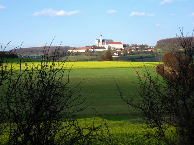Rapsfelder um die Abtei Neresheim