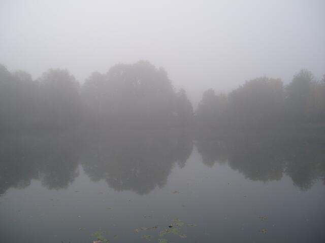 Sogar beim Nebel erzählen...