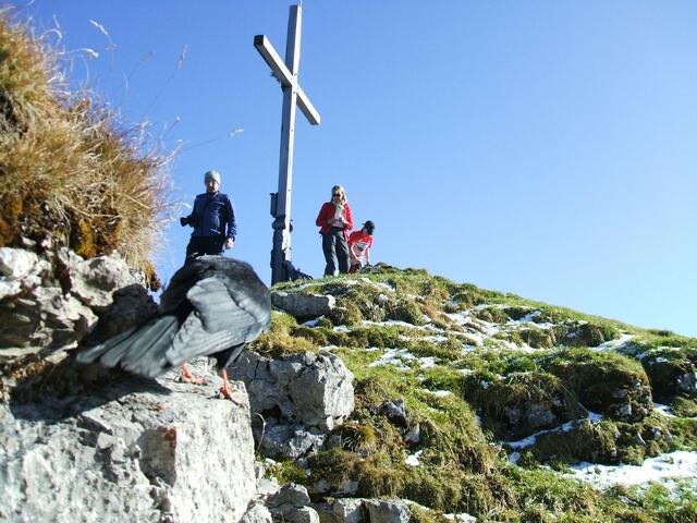Am Gipfel des Schafreuther (2100m)