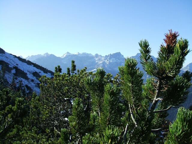Karwendel- und Rofanblick