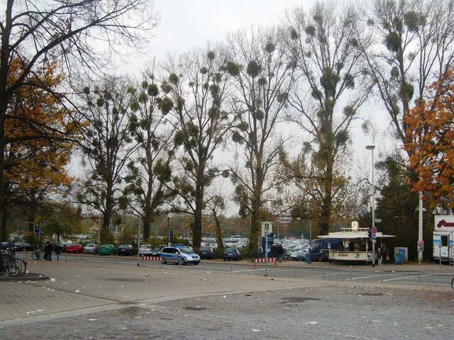 Blick Richtung Schützenplatz