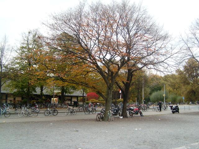 Und überall stehen Fahrräder...
