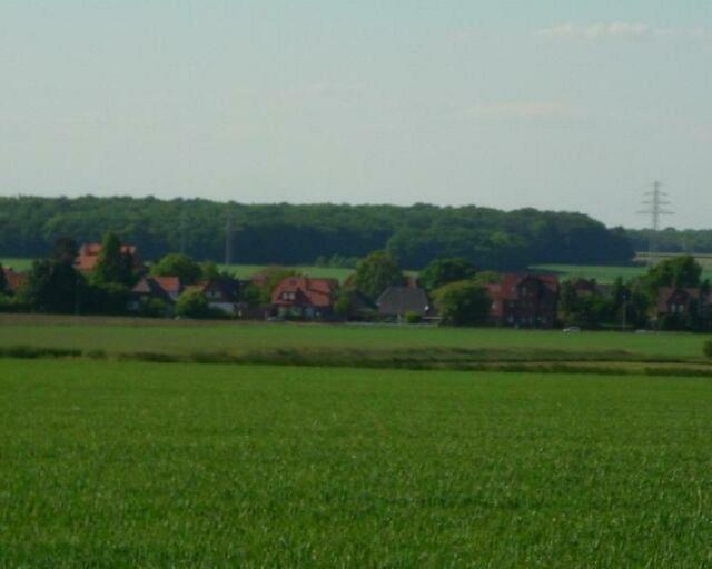 Spätsommer 2008. "Skyline" aus Rtg. Süden. Im Hintergrund der "Müllinger Wald", der mit dem "Erbenholz" und dem "Bockmerholz" ein größeres Waldstück am Südrand von Hannover bildet.