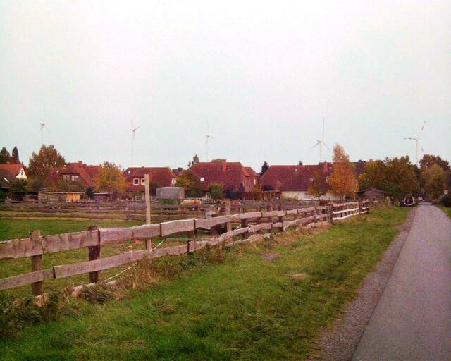 28.10.2008. In den Beekwiesen. Nordöstlicher Ortsrand.