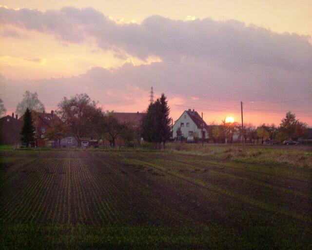 28.10.2008. Sonnenuntergang am nordwestlichen Ortsrand.