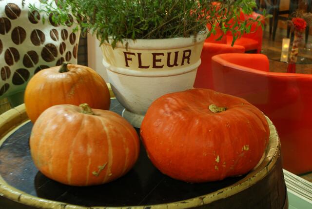 Nicht wirklich Blumen