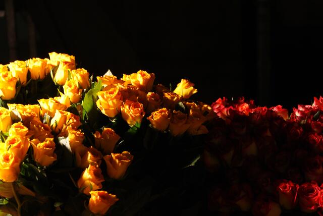 Marktstand mit Flutlicht