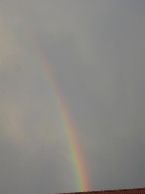 Regenbogen
