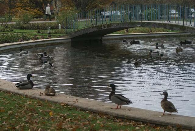 Im Dobelhoffpark
