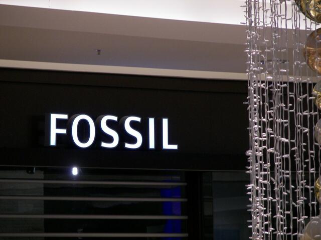 wahrlich: wie ein Fossil